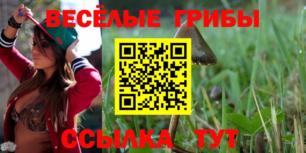 Нововоронеж  Галлюциногенные грибы Cubensis  Псилоцибиновые грибы Cubensis  Вход с VPN 
